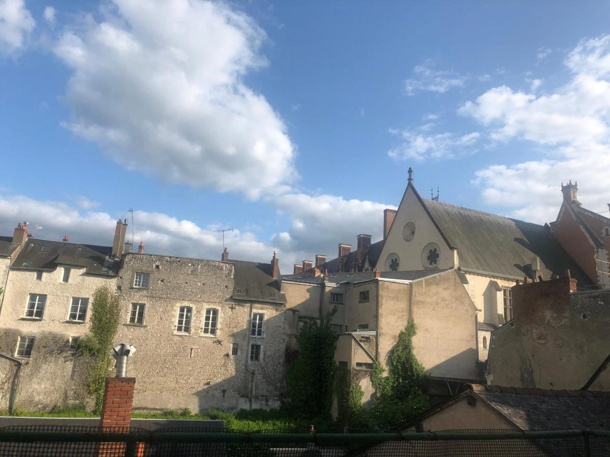 Cote Chateau - Grand Appartement Au Coeur De Blois Bagian luar foto
