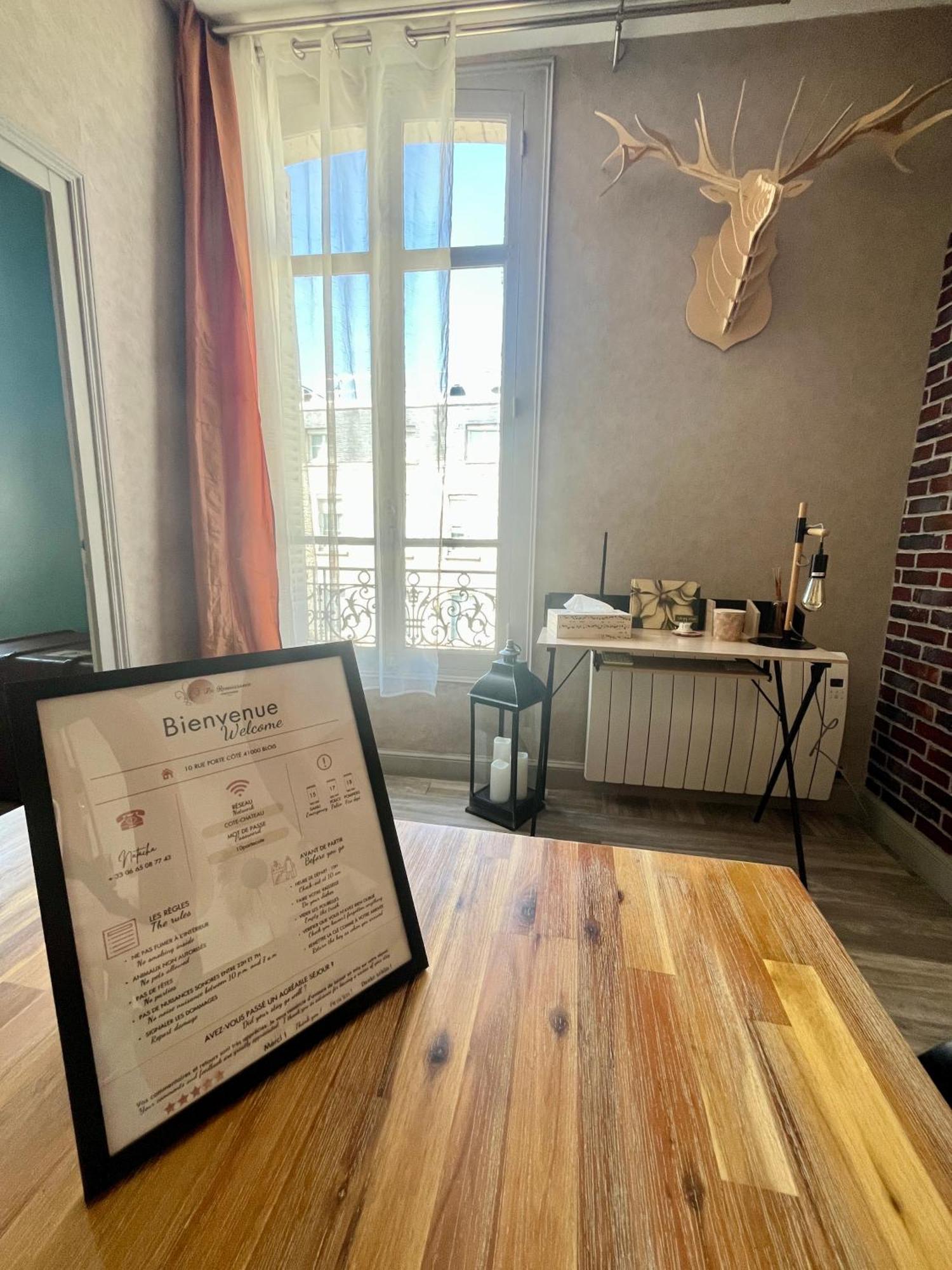 Cote Chateau - Grand Appartement Au Coeur De Blois Bagian luar foto